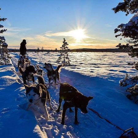 Birk Bed & Birds Bed & Breakfast Svanvik Bagian luar foto
