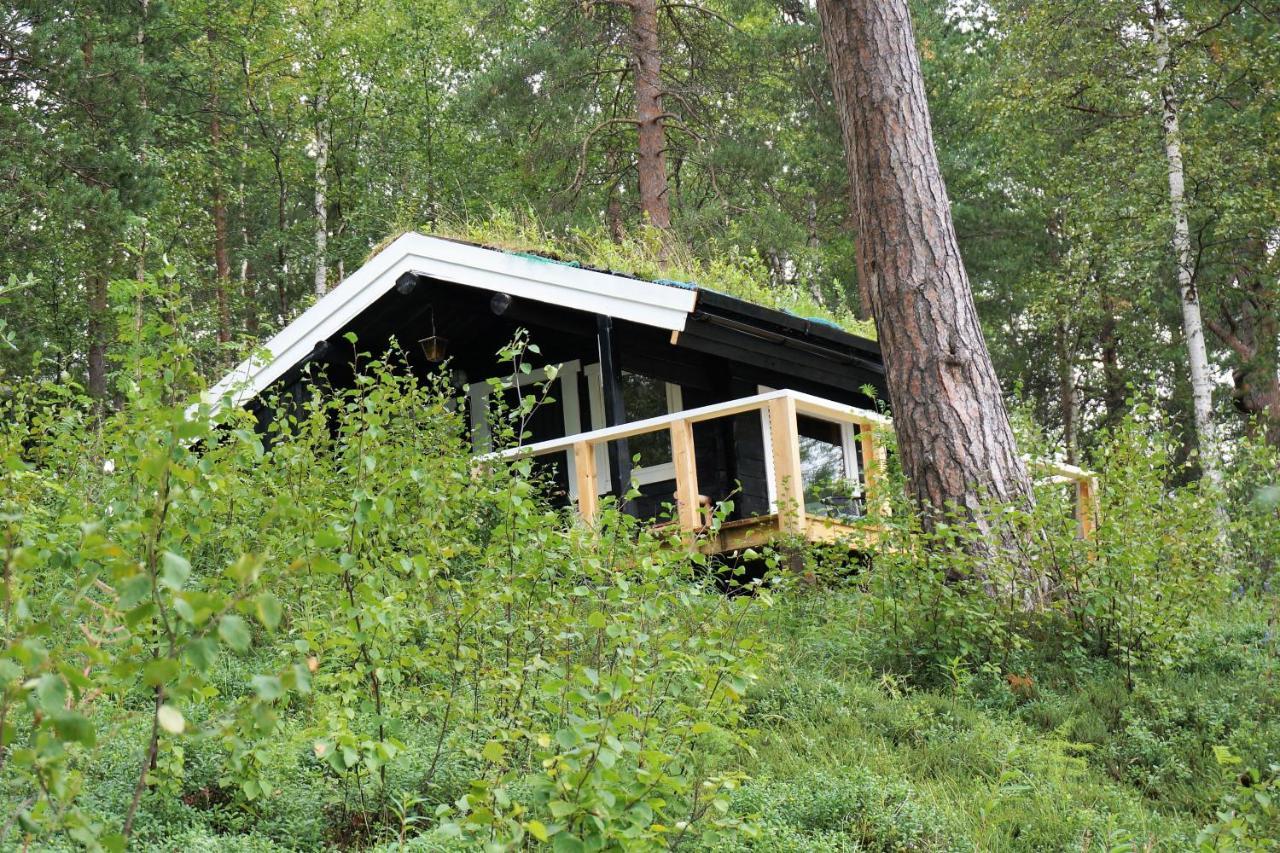 Birk Bed & Birds Bed & Breakfast Svanvik Bagian luar foto