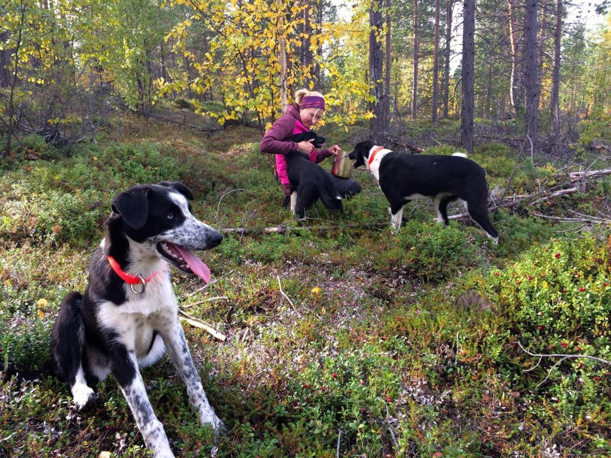 Birk Bed & Birds Bed & Breakfast Svanvik Bagian luar foto