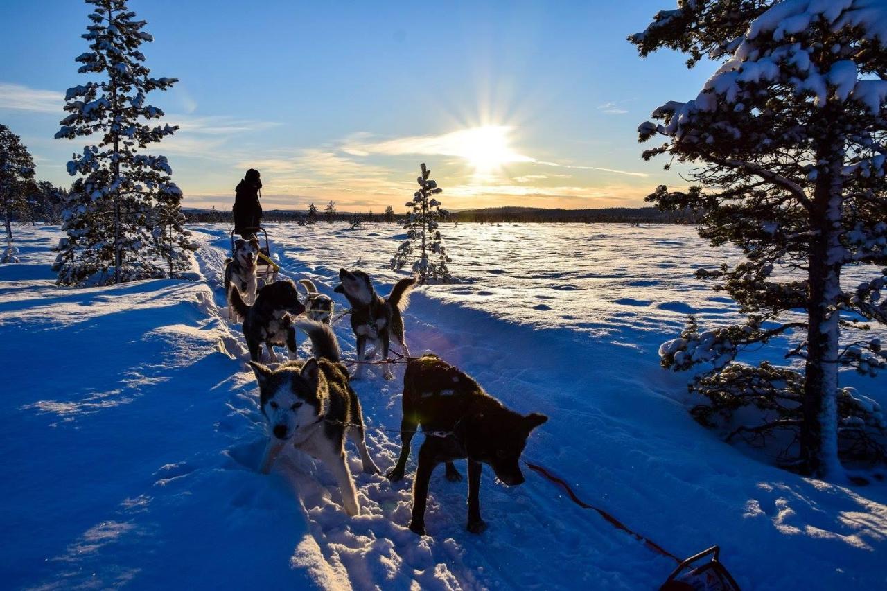 Birk Bed & Birds Bed & Breakfast Svanvik Bagian luar foto