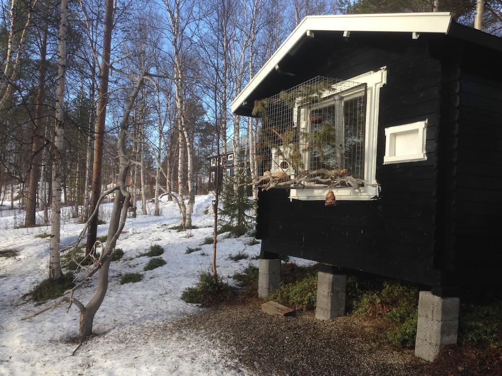 Birk Bed & Birds Bed & Breakfast Svanvik Bagian luar foto