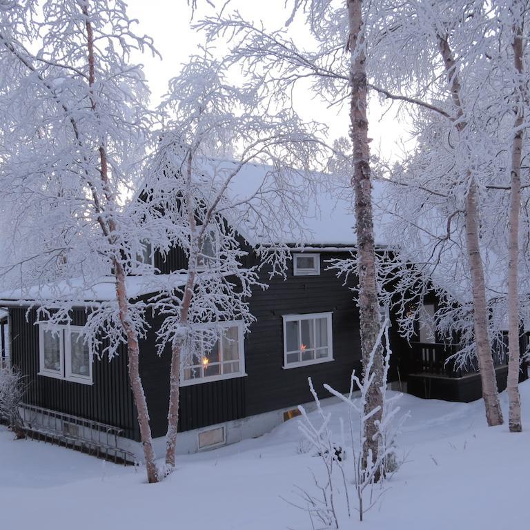 Birk Bed & Birds Bed & Breakfast Svanvik Bagian luar foto