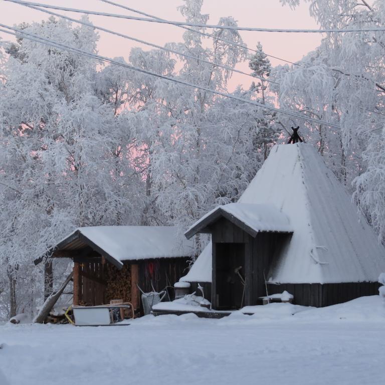 Birk Bed & Birds Bed & Breakfast Svanvik Bagian luar foto