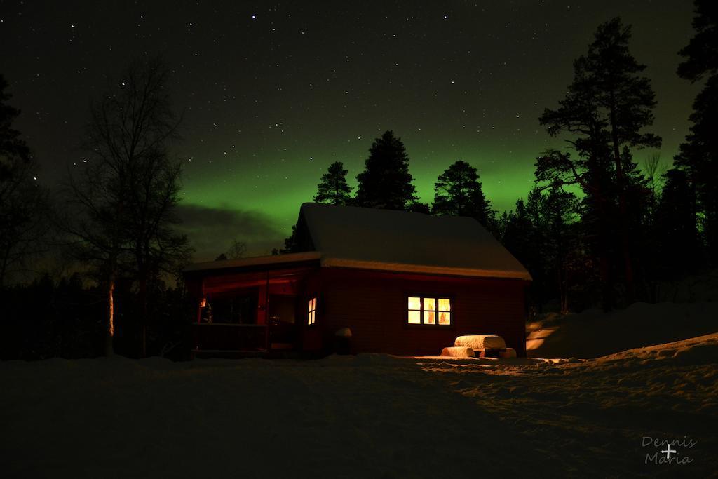 Birk Bed & Birds Bed & Breakfast Svanvik Bagian luar foto