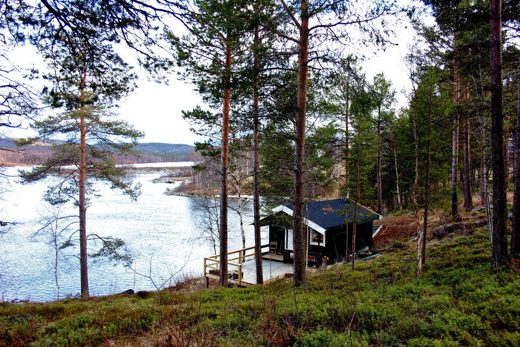 Birk Bed & Birds Bed & Breakfast Svanvik Bagian luar foto