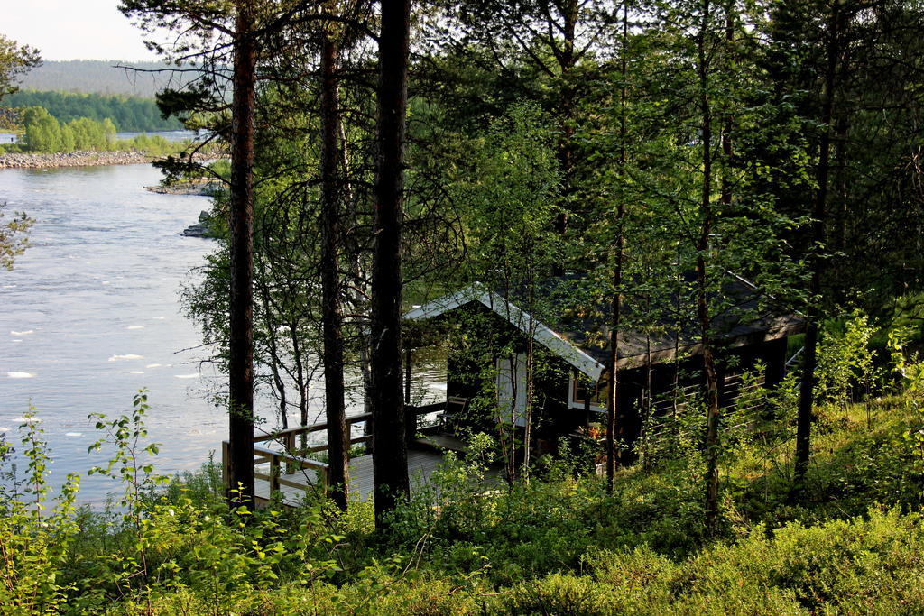 Birk Bed & Birds Bed & Breakfast Svanvik Bagian luar foto