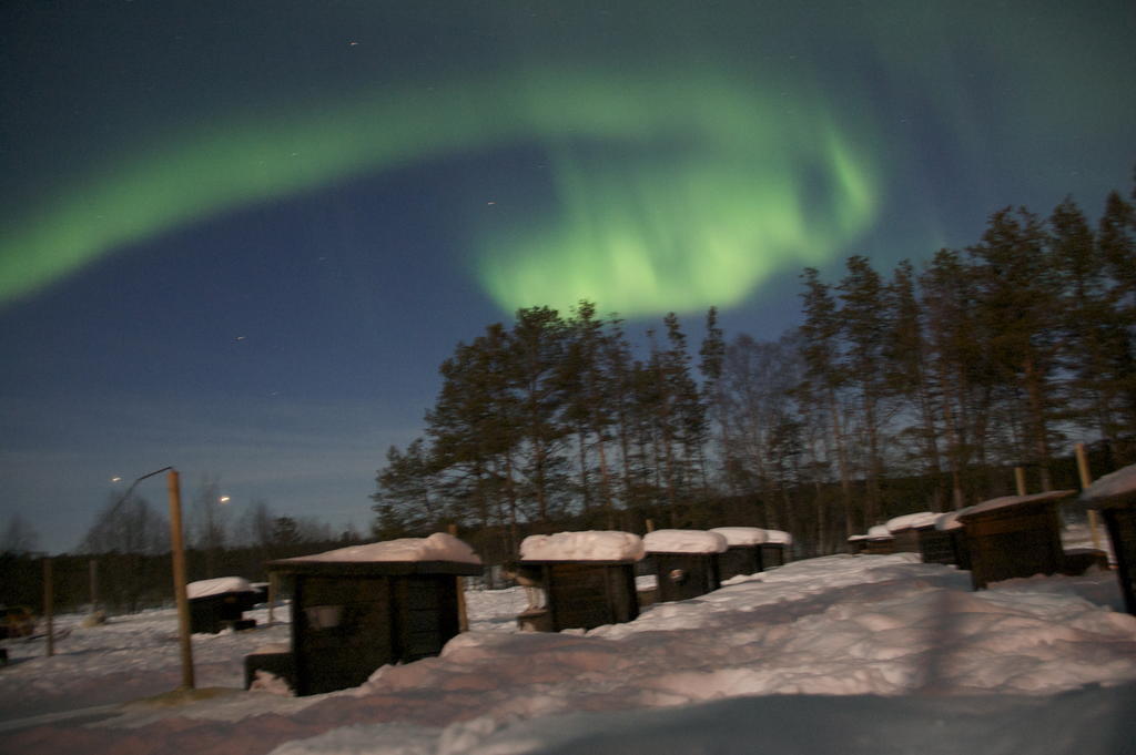 Birk Bed & Birds Bed & Breakfast Svanvik Bagian luar foto
