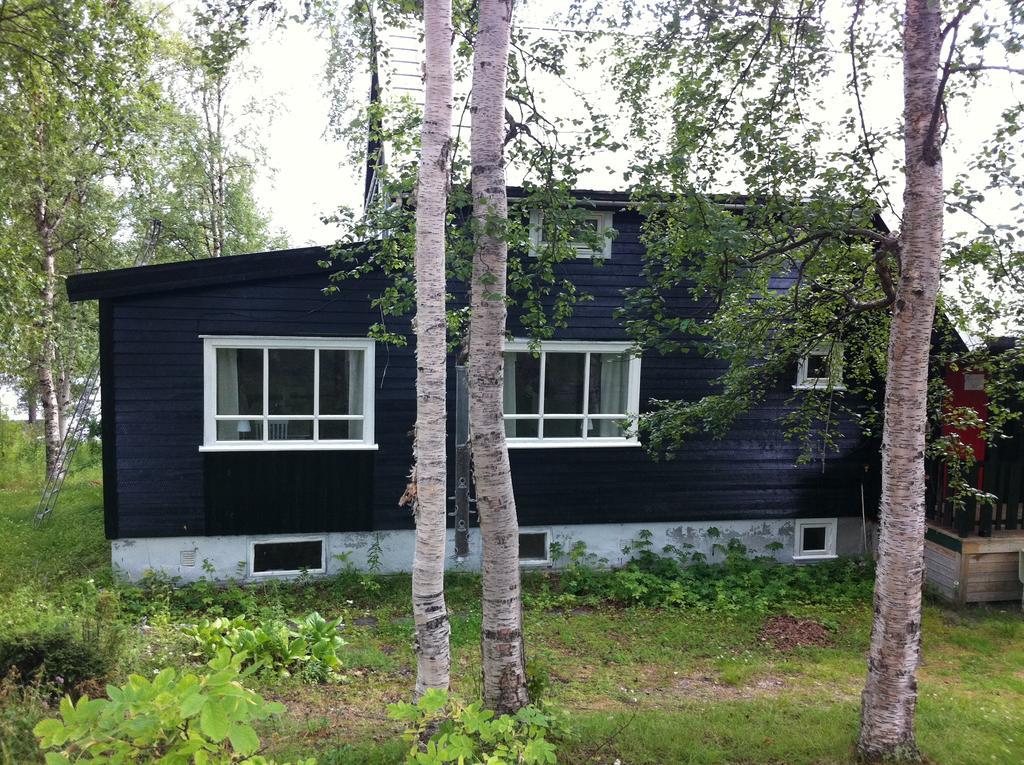 Birk Bed & Birds Bed & Breakfast Svanvik Bagian luar foto